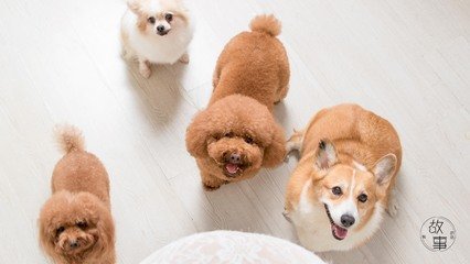 okcoinapp苹果下载