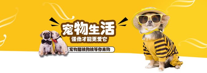 库神钱包下载