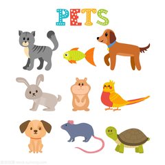 币安钱包ios手机app
